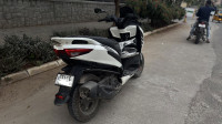 Aprilia SXR 160 2022 Model