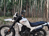 Glacier White Hero XPulse 210