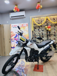 Glacier White Hero XPulse 210