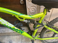 Green Bicycle Firefox