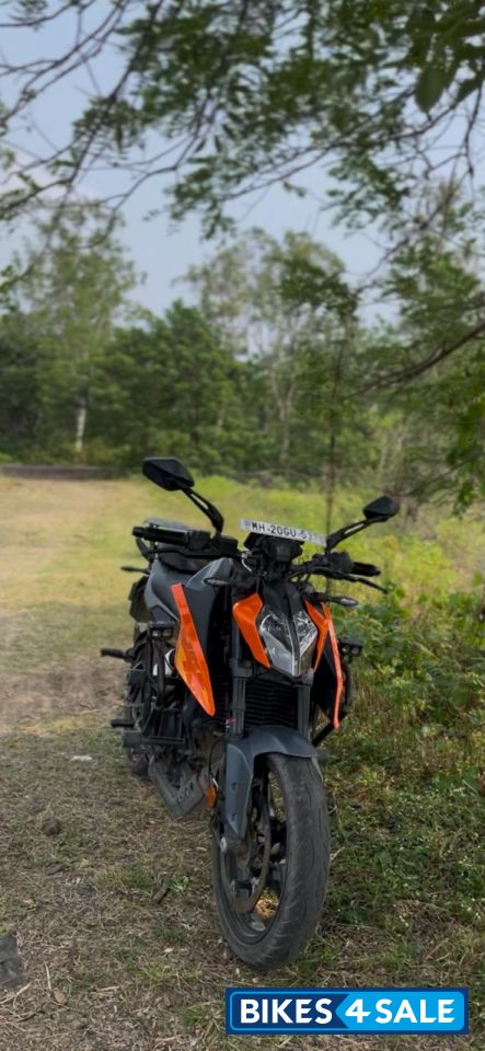 Electric Orange KTM Duke 250 2024