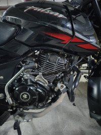 Ebony Black Solar Red Bajaj Pulsar 125 Neon Disc Single Seat