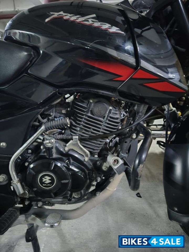 Ebony Black Solar Red Bajaj Pulsar 125 Neon Disc Single Seat Ebony Black Solar Red Bajaj Pulsar 125 Neon Disc Single Seat