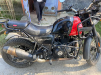 Red Rock Royal Enfield Himalayan 2021
