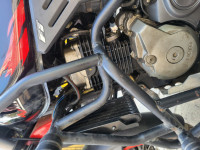 Sport Red Hero Xpulse 200 4V