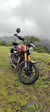 Gray Triumph Speed 400