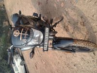 Eb Blk Glos Pew Grey Bajaj Platina ComforTec