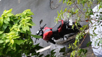 Syrah Red TVS Apache RTR 200 4V
