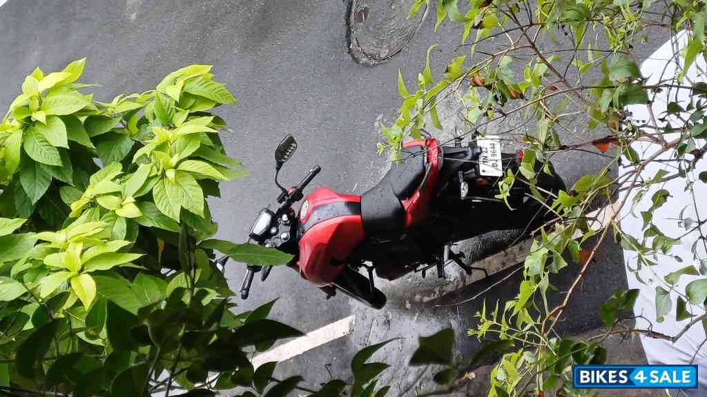 Syrah Red TVS Apache RTR 200 4V