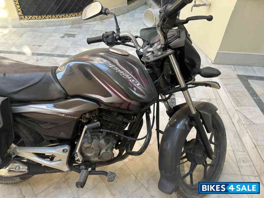 Black Magenta Bajaj Discover 125M Black Magenta Bajaj Discover 125M