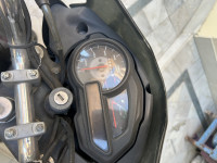 Black Magenta Bajaj Discover 125M