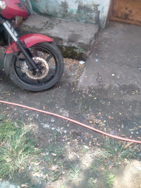 Wine Red Bajaj Pulsar 150 DTSi