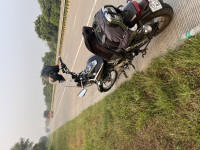 Bajaj Avenger Cruise 220 2024 Model