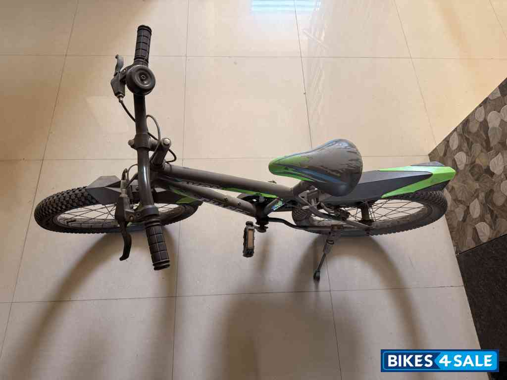 Bicycle  Avon Charge