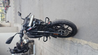 Black Bajaj Pulsar N160 Dual Channel ABS