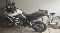 Triumph Tiger 900 Rally