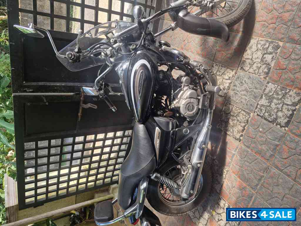 Auburn Black Bajaj Avenger Cruise 220 BS6