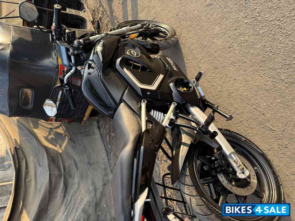 Cosmic Black Revolt RV400 BRZ