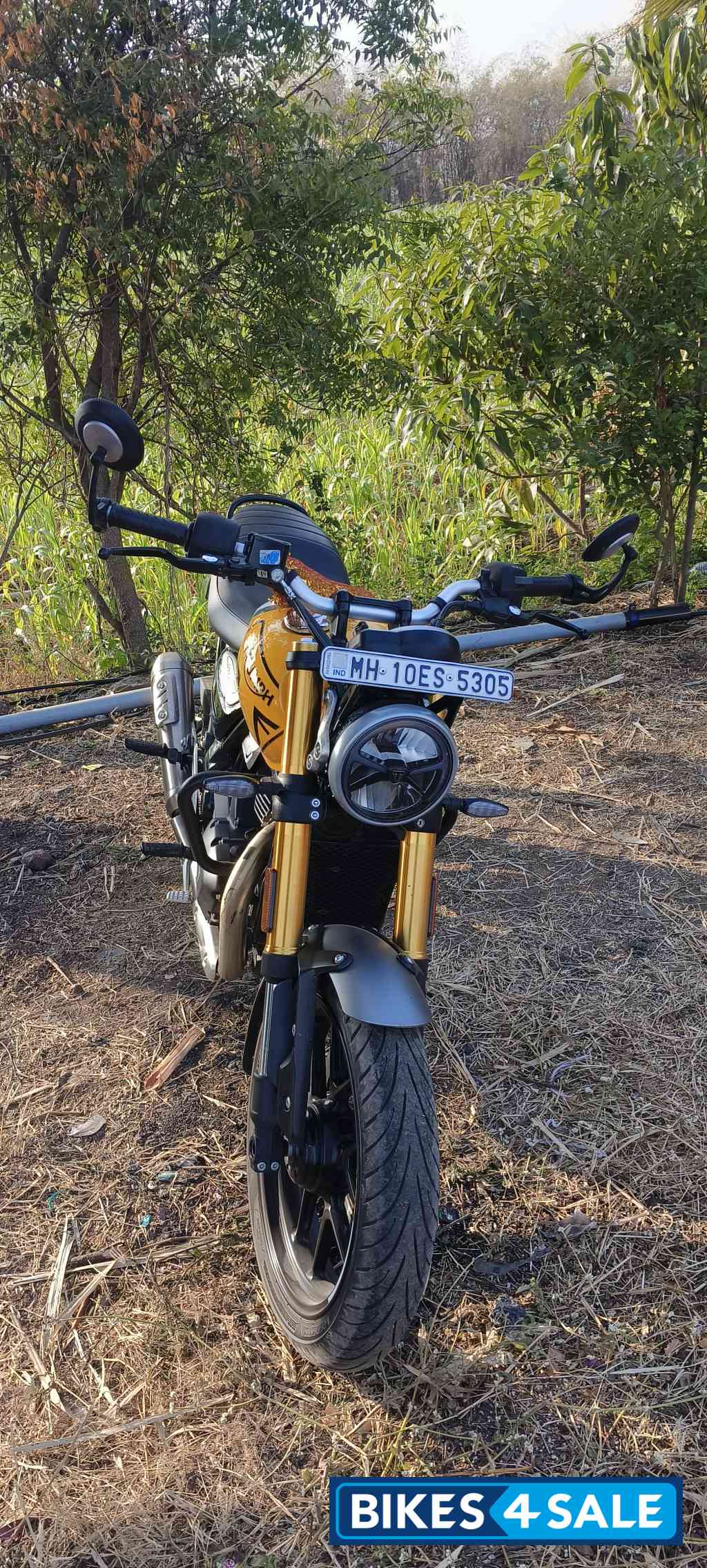 Yellow Triumph Speed 400 2025