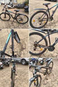 Bicycle Schnell 2022 Model