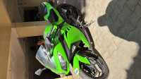 Kawasaki Ninja 300R 2015 Model
