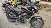 Bajaj Pulsar NS 200 2024 2024 Model