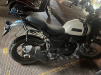 White Out Yezdi Adventure Gloss