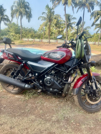 Harley Davidson X440 Vivid 2025 Model