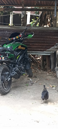 Bajaj Dominar 400 2019 Model