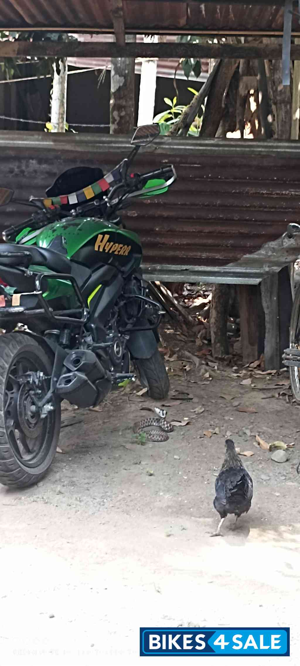 Green Bajaj Dominar 400