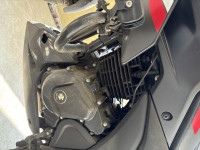 Bajaj Pulsar N250 Dual Channel ABS 2023 Model