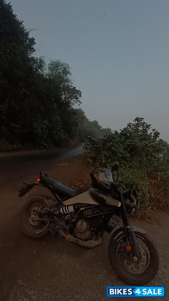 Dark Green Husqvarna Svartpilen 401 2024