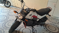 Honda Navi 2016 Model