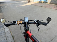 EMotorad T-Rex 2024 Model