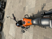 Black And Orange UM Renegade Sports S