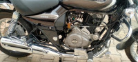 Auburn Black Bajaj Avenger Cruise 220