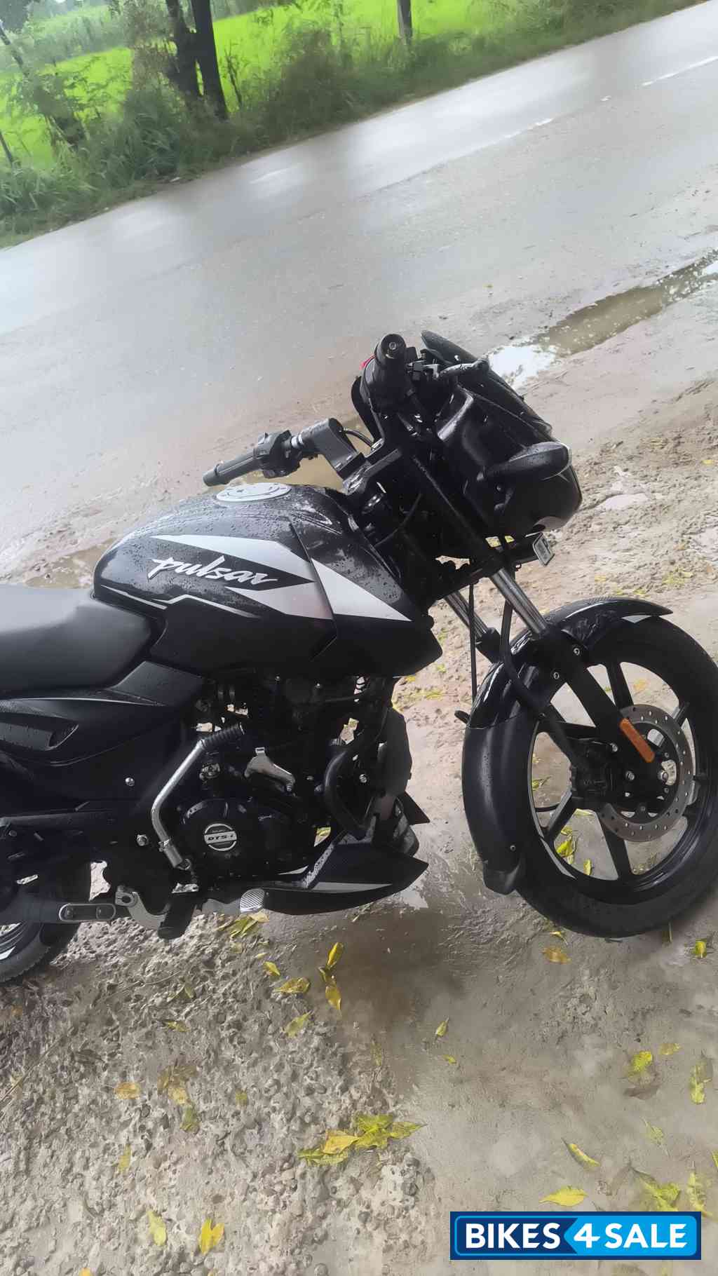 Bajaj Pulsar 125 Split Seat Bajaj Pulsar 125 Split Seat