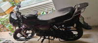 TVS Radeon 2019 Model