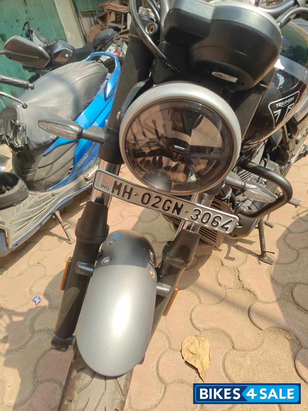 Black Grey Triumph Speed T4