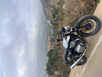 Royal Enfield Continental GT 650 Twin 2024 Model