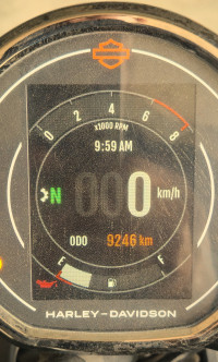 Harley Davidson X 440