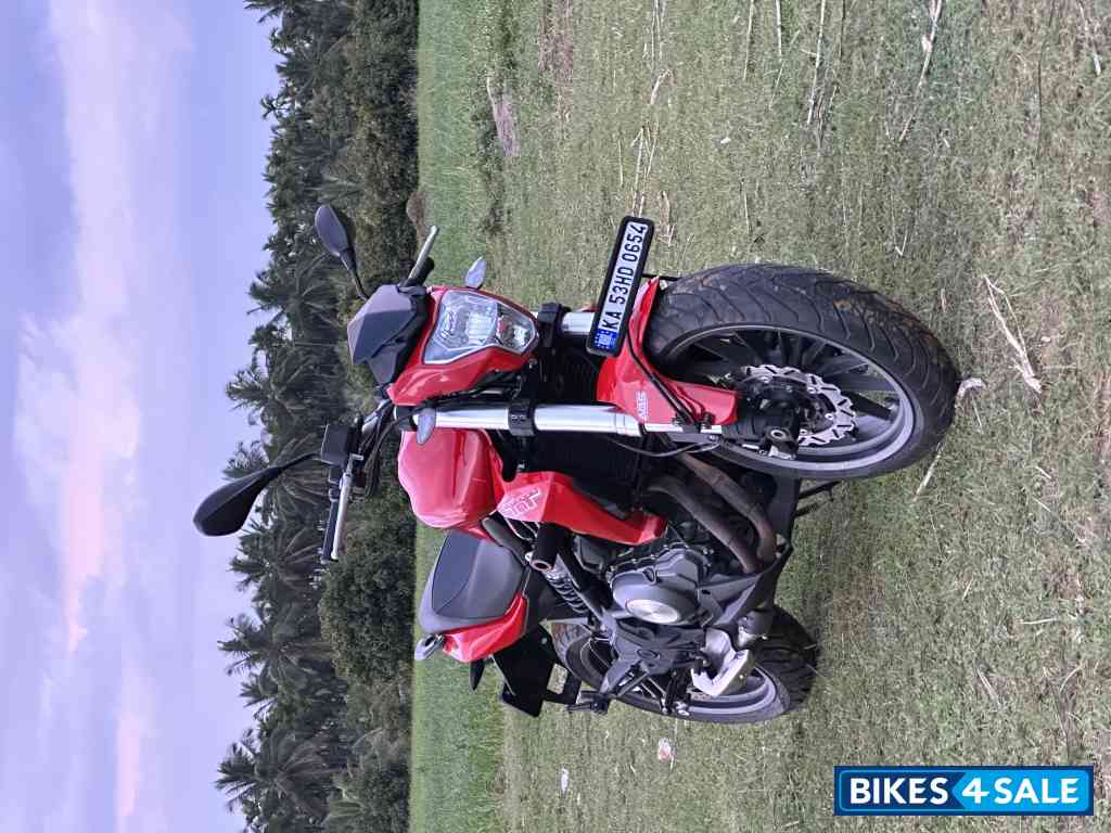 Red Benelli TNT 300