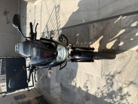 Bajaj Pulsar 150 Neon 2019 Model