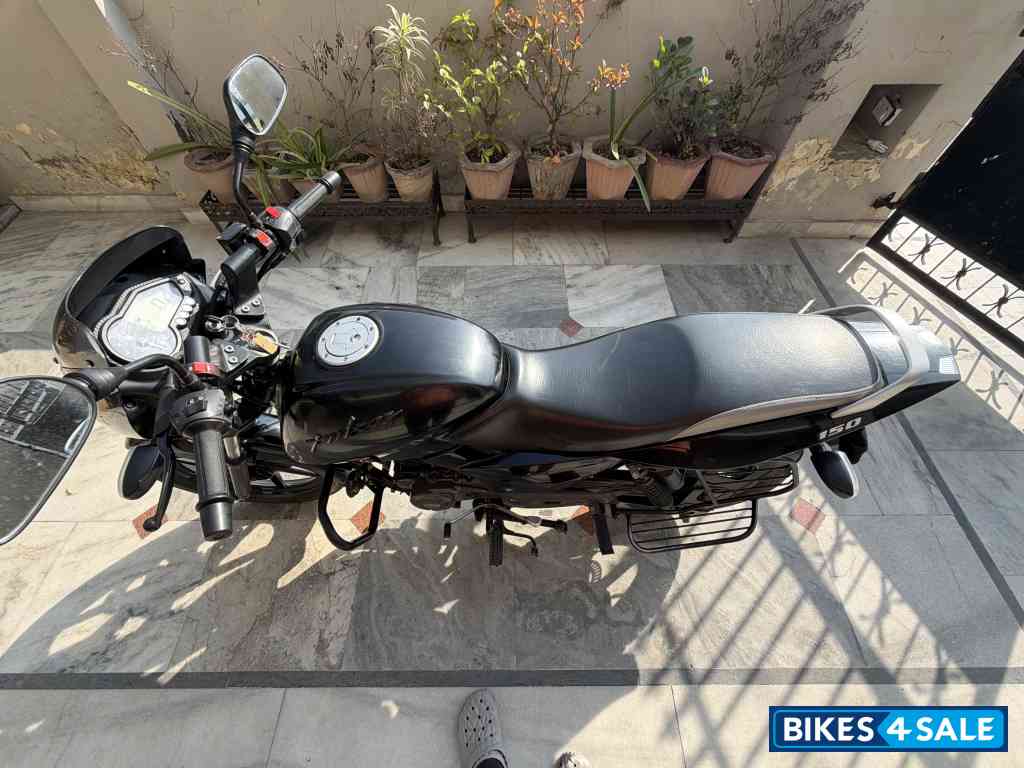 Bajaj Pulsar 150 Neon