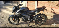 Mate Grey Bajaj Pulsar NS125 BS6