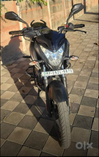 Mate Grey Bajaj Pulsar NS125 BS6