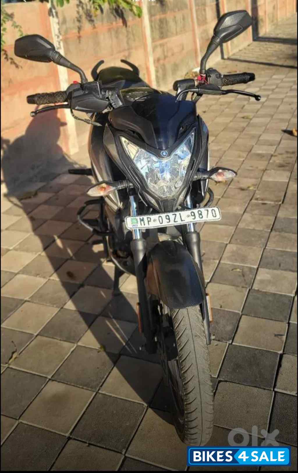 Mate Grey Bajaj Pulsar NS125 BS6