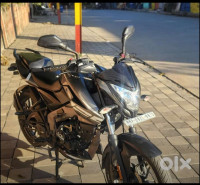 Mate Grey Bajaj Pulsar NS125 BS6