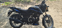 Bajaj Pulsar 125 Carbon Fibre Disc Split Seat 2025 Model