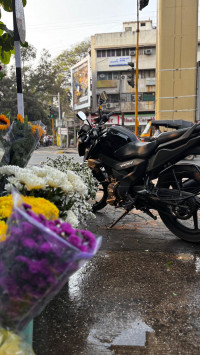 Black TVS Raider 125